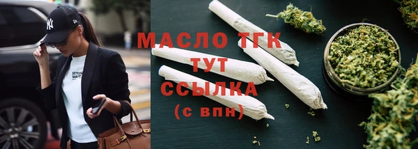 гидра Вязьма