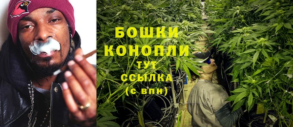 гидра Вязьма