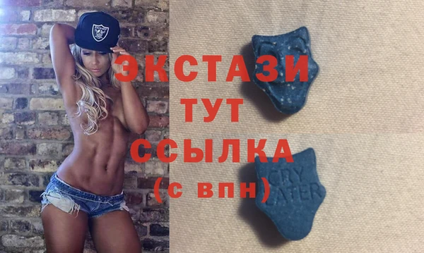 гидра Вязьма