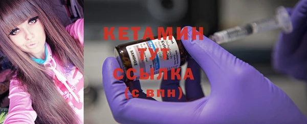 гидра Вязьма