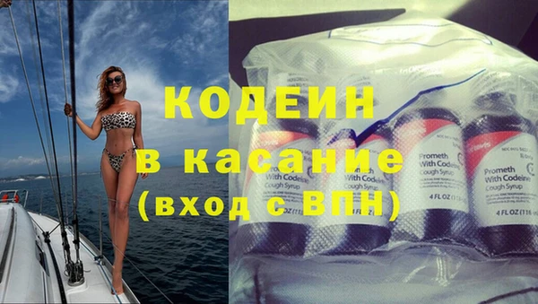 гидра Вязьма