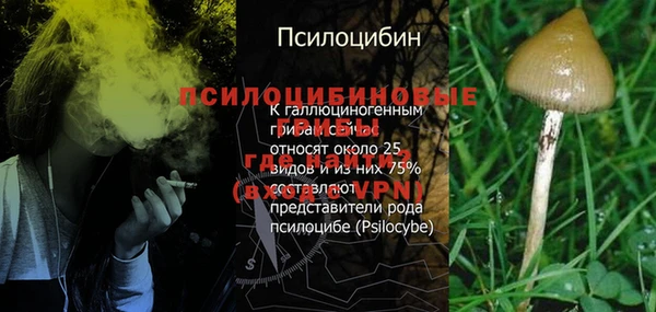 трава Вязники