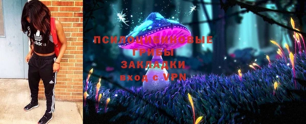 амф Володарск
