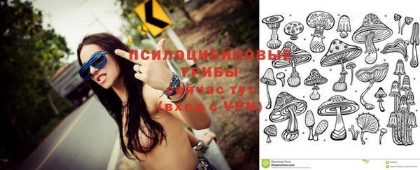 гидра Вязьма