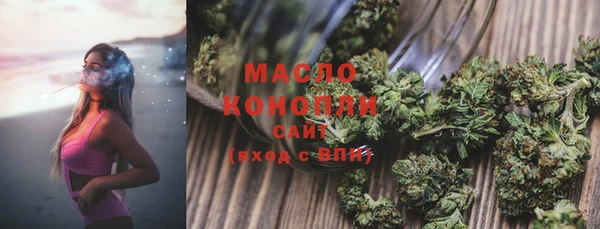 гидра Вязьма