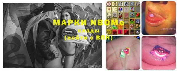 гидра Вязьма