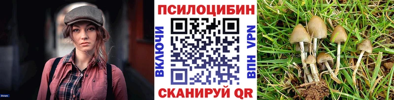 Галлюциногенные грибы Magic Shrooms  Джанкой 
